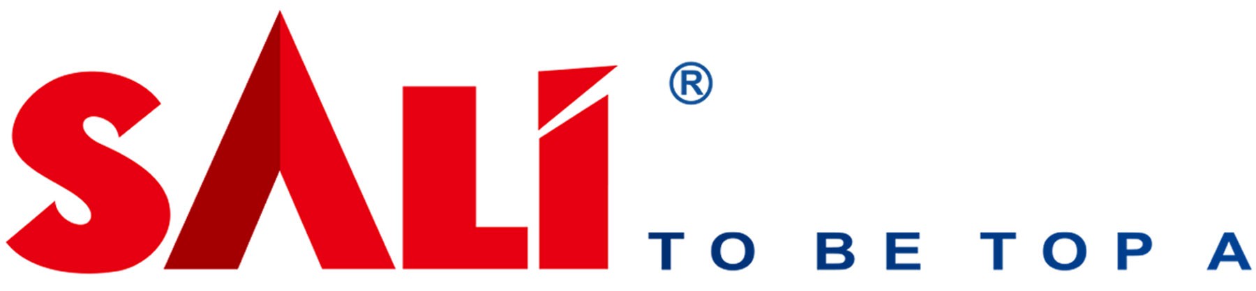 Zhejiang SALI Abrasive Technology Co., Ltd.